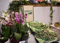 Several growers were exhibiting their products at tables at the Floradania booth.